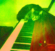 Celise on Yamaha piano